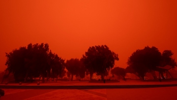 Κρήτη: Αδέλφια τσακώθηκαν μεταξύ τους για την... αφρικανική σκόνη, ο ένας πήρε το μέρος γείτονα που έριχνε νερό για να την απομακρύνει