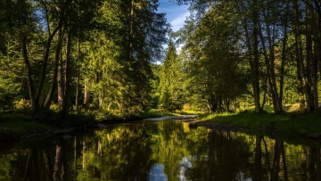 Τι είναι το «terroir» του νερού και γιατί είναι σημαντικό να γνωρίζουμε γι’ αυτό
