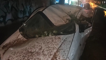 Κακοκαιρία: Δέντρο ισοπέδωσε αυτοκίνητο στην Ηλιούπολη, δείτε βίντεο