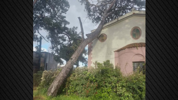 Σοβαρές ζημιές στον Ιερό Ναό Αγίων Πατέρων της Μυτιλήνης μετά από πτώση μεγάλου δέντρου, δείτε φωτογραφίες