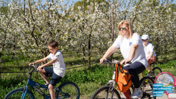 «Όταν ανθίζουν οι κερασιές της Πέλλας 2026», μία μεγάλη γιορτή γεύσης και παράδοσης
