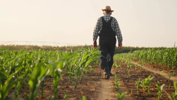 Μελέτη στο Nature συνδέει τα φυτοφάρμακα με αυξημένο κίνδυνο καρκίνου
