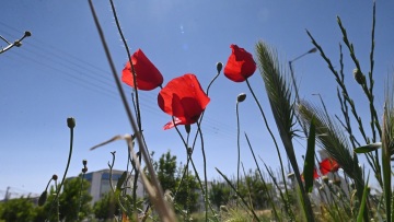 Καιρός: Οι 8 περιοχές με τις υψηλότερες θερμοκρασίες, πού ξεπέρασε τους 28°C το θερμόμετρο