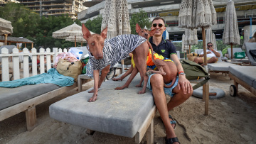 Φεστιβάλ σκύλων στο Ντουμπάι σαν να μην συμβαίνει τίποτα