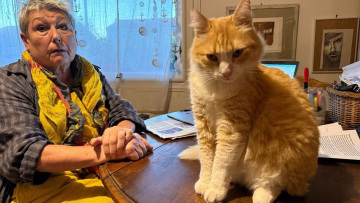 Γαλλία: Η ιδιοκτήτρια ενός άτακτου γάτου κλήθηκε να πληρώσει 100 ευρώ στον γείτονά της
