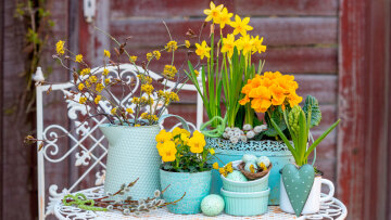Τα 6 φυτά του Πάσχα που φέρνουν την Ανοιξη