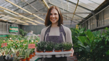 8 φυτά εσωτερικού χώρου που χαρίζουν αρμονία και μας φτιάχνουν τη διάθεση