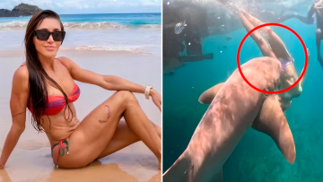 Βραζιλία: Καρέ-καρέ η στιγμή που καρχαρίας αρπάζει από το πόδι τουρίστρια μόλις βουτά στη θάλασσα, δείτε βίντεο
