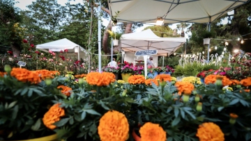 Ξεκινά η 72η Ανθοκομική Έκθεση Κηφισιάς: Ένας θεσμός 130 χρόνων που ενώνει το χθες με το σήμερα
