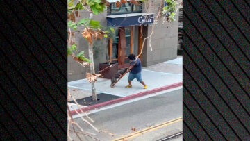 Εντυπωσιακή σύλληψη άνδρα με τη βοήθεια σκύλου Κ9 της Αστυνομίας στο Σαν Ντιέγκο, δείτε βίντεο