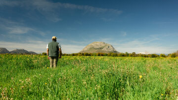 24 ώρες στην Επίδαυρο