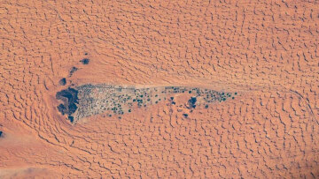 Η φωτογραφία της NASA που τραβήχτηκε από ύψος 420 χλμ: Το «πράσινο θαύμα» της ερήμου