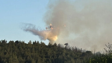 Φωτιά στην Σκιάθο: Επιχειρεί ένα αεροσκάφος, δείτε βίντεο
