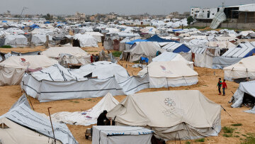 Αρουραίοι, ψύλλοι και άλλα παράσιτα εξαπλώνονται στη Γάζα, στους καταυλισμούς εκτοπισμένων Παλαιστινίων
