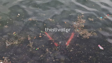 Γέμισε σκουπίδια ο Θερμαϊκός, επιπλέουν μέχρι και... ηλεκτρικά πατίνια δείτε βίντεο και φωτογραφίες