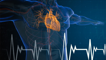 Ο ρόλος της Πυρηνικής Ιατρικής στη διάγνωση καρδιαγγειακών παθήσεων