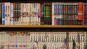 Ισπανία: Εξαρθρώθηκε δίκτυο παράνομων μάνγκα με κέρδη 4 εκατ. ευρώ