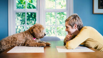 Οικογένεια προσφέρει 68.000 ευρώ και διαμονή για φροντίδα του σκύλου της: Αυτές είναι οι απαιτήσεις εργασίας
