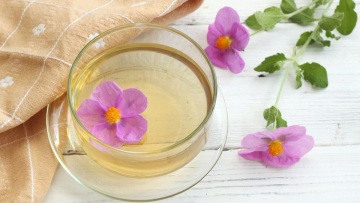 Λαδανιά: Τι είναι το άγριο φυτό της Ελλάδας που κρύβει ένα από τα πιο παλιά αρώματα στον κόσμο