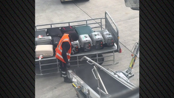 Βίντεο: Εργαζόμενος στο Ελευθέριος Βενιζέλος υποδέχτηκε με τρυφερότητα γάτες από τον χώρο αποσκευών του αεροπλάνου και έγινε viral στο TikTok