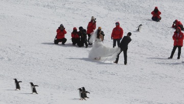 Πώς είναι πραγματικά να παντρεύεσαι στην Ανταρκτική; Ένα ζευγάρι το έζησε – «Ο ιερέας έφτασε με παγοθραυστικό»
