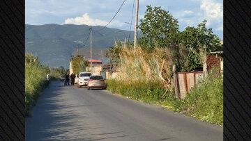 Έγκλημα στη Μεσσηνία: 42χρονος βρέθηκε νεκρός από πυροβολισμό σε στάβλο