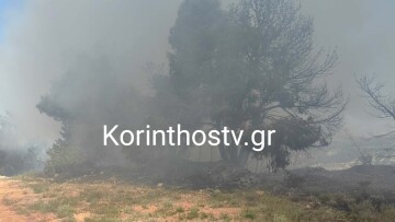 Φωτιά τώρα σε πευκοδάσος στο Ζευγολατιό, μεγάλη κινητοποίηση της Πυροσβεστικής, δείτε βίντεο και φωτογραφίες