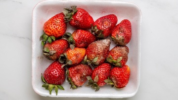 Γιατί μουχλιάζουν τόσο γρήγορα οι φράουλες; – Tο απλό λάθος που κάνουμε όλοι