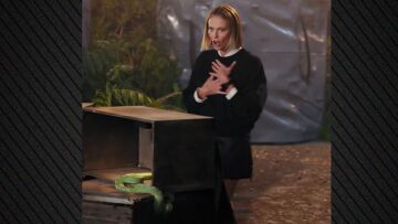 Σαρλίζ Θερόν: Τα ουρλιαχτά της όταν άγγιξε φίδι σε challenge του Netflix, δείτε βίντεο