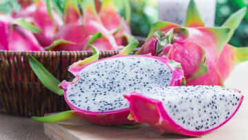 Ξυλουργός φύτεψε 450 δέντρα και παράτησε τη δουλειά του για να ζήσει αποκλειστικά από αυτό: «Είμαι 100% αυτάρκης»