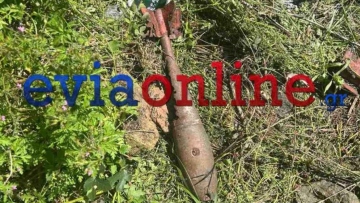 Εύβοια: Καθάριζαν ένα οικόπεδο και βρήκαν... στρατιωτικές ρουκέτες ανάμεσα στα χόρτα