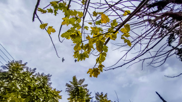 Αλλάζει ο καιρός: Βροχές και πτώση της θερμοκρασίας μετά το μεσημέρι, η πρόγνωση για την Πρωτομαγιά