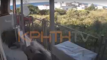Ηχητικό ντοκουμέντο: Οι καταιγιστικοί πυροβολισμοί της δολοφονίας του 21χρονου στην Αμμουδάρα Κρήτης
