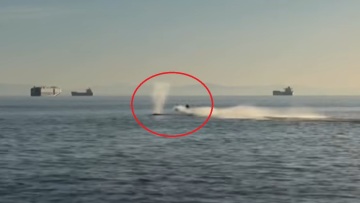 Βίντεο δείχνει τζετ σκι να συγκρούεται με γκρίζα φάλαινα στο Βανκούβερ, τραυματίστηκε ο χειριστής
