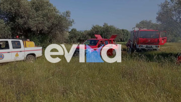 Σοβαρό τροχαίο στην Ερέτρια, αυτοκίνητο έπεσε πάνω σε δέντρο και έπιασε φωτιά 