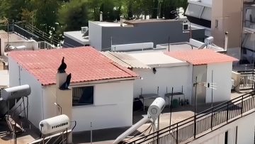 «Τα παιδιά 8 και 9 ετών φορούσαν πάνες, ήταν σαν στρατιωτάκια»: Νέα καταγγελία για την οικογένεια που έμενε μέσα σε ακαθαρσίες στο Περιστέρι