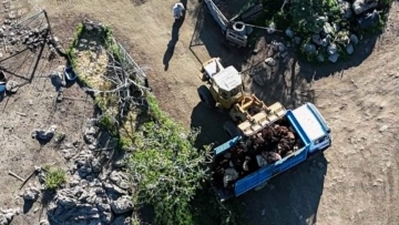 Καταγγελίες για ανεξέλεγκτες ταφές ζώων στη Λέσβο λόγω αφθώδους πυρετού, μεταφέρονται με ανοιχτά φορτηγά
