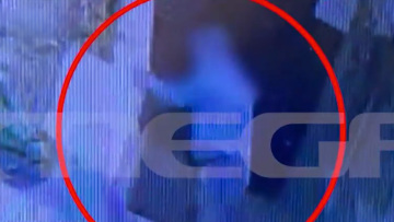 Πρώην αντιδήμαρχος Κρήτης κατηγορείται ότι σκότωσε γατάκι - Τι φέρεται να υποστηρίζει ο ίδιος για το βίντεο που τον έχει καταγράψει