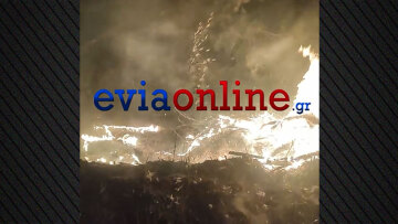 Φωτιά τώρα σε δασική έκταση ανάμεσα στο Προκόπι και το Πήλι Εύβοιας, δείτε βίντεο