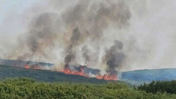 Οριοθετήθηκαν οι φωτιές στη Φθιώτιδα και στα Φάρσαλα