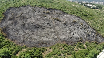 Για εμπρησμό από αμέλεια κατηγορούνται οι τρεις εργάτες που συνελήφθησαν για τη φωτιά στα Πεύκα Θεσσαλονίκης