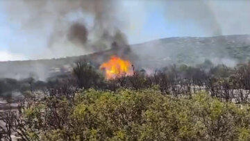 Σε ύφεση η φωτιά στον Ασπρόκαμπο Φθιώτιδας