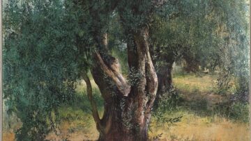 Στον δρόμο της ελιάς και του καπνού: Μία περιήγηση στο Αγρίνιο