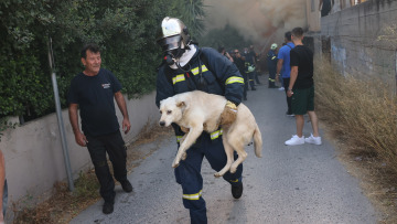Μέσα στους καπνούς και τη φωτιά: Η στιγμή που πυροσβέστης σώζει σκύλο στο Ηράκλειο