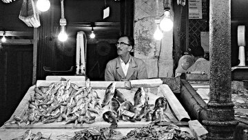 Ο θαυμαστός κόσμος των ψαριών