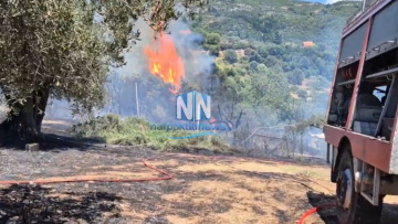 Φωτιά τώρα σε δάσος στη Μαμουλάδα Ναυπακτίας, σηκώθηκαν τρία εναέρια, δείτε βίντεο