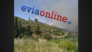 Χωρίς ενεργό μέτωπο η φωτιά στο Σπαθάρι Ευβοίας, δείτε βίντεο
