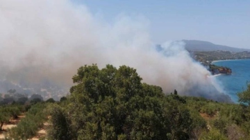Φωτιά τώρα στο Χαροκόπιο Μεσσηνίας, πέντε εναέρια επιχειρούν στο μέτωπο