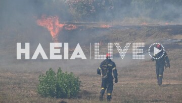 Σε ύφεση και χωρίς ενεργό μέτωπο η φωτιά στη Βάρδα Ηλείας