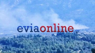 Φωτιά σε αγροτοδασική έκταση στη Λούτσα Ευβοίας, στη μάχη πέντε εναέρια μέσα

